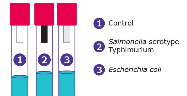 Hydrogen Sulfide Test Strips Hydrogen Sulfide Test Strips