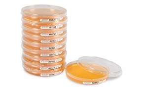 ICR and ICRplus settle plates containing media packed inside the gamma irradiated bag