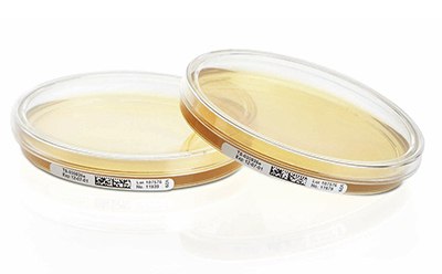 Tryptic Soy Agar (TSA, Soybean Casein Digest Agar) plate