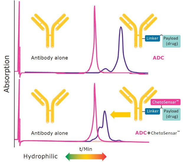 hydrophobic interaction chromatograms comparing ADC without and with Chetosensar showing reduced hydrophobicity with ChetoSensar™