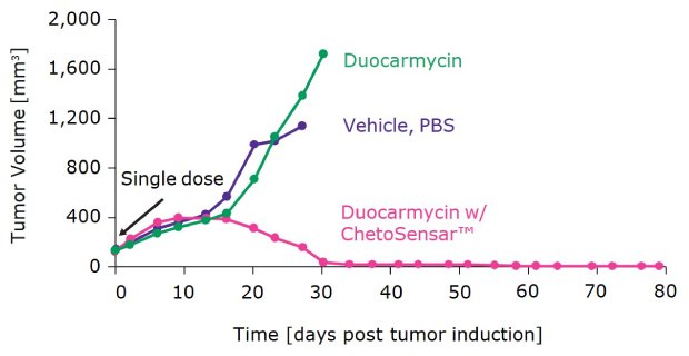 Xenograph model demonstrates notable tumor regression with DAR 2 ChetoSensar™-duocarmycin ADC compared to ADC without ChetoSensar™