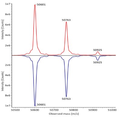 The deconvoluted mass spectra for the heavy chain of fully reduced trastuzumab reveal distinct peaks at mass values of 50601, 50763, and 50925 from left to right. The innovator is depicted by a red curve, and the biosimilar by a blue curve, with intensity measured in counts on the y-axis and observed mass on the x-axis.