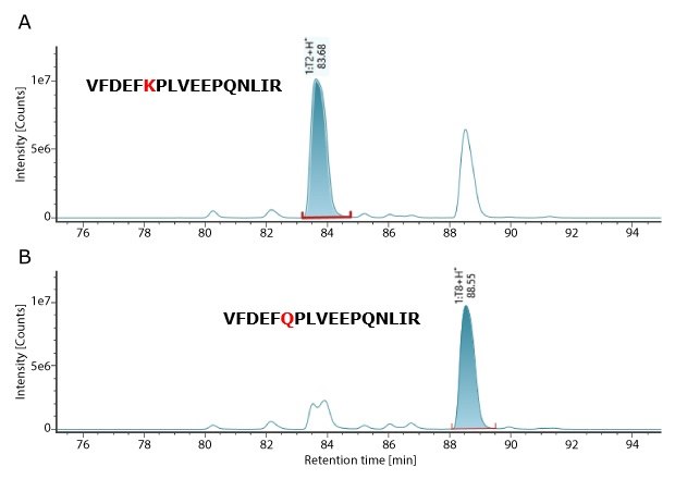 XIC chromatogram of MS QC Cal peptides Extracted ion chromatograms showing peaks for peptides 1:T2 and 1:T8 with distinct retention times and signal intensities.