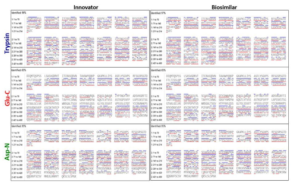 Sequence coverage comparison of trastuzumab innovator and biosimilar Sequence maps showing peptide coverage of trastuzumab after trypsin, Asp-N, and Glu-C digestion with annotated b and y ions for both samples.
