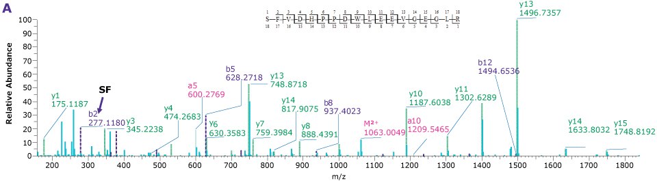 Four product ion spectra providing the sequence coverage of VP1, VP2, and VP3 N-termini as well as C-terminus of each indicating the observed mass fragments.