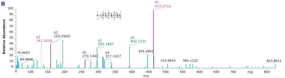 Four product ion spectra providing the sequence coverage of VP1, VP2, and VP3 N-termini as well as C-terminus of each indicating the observed mass fragments.