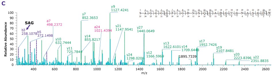 Four product ion spectra providing the sequence coverage of VP1, VP2, and VP3 N-termini as well as C-terminus of each indicating the observed mass fragments.