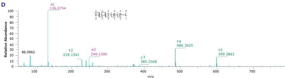 Four product ion spectra providing the sequence coverage of VP1, VP2, and VP3 N-termini as well as C-terminus of each indicating the observed mass fragments.