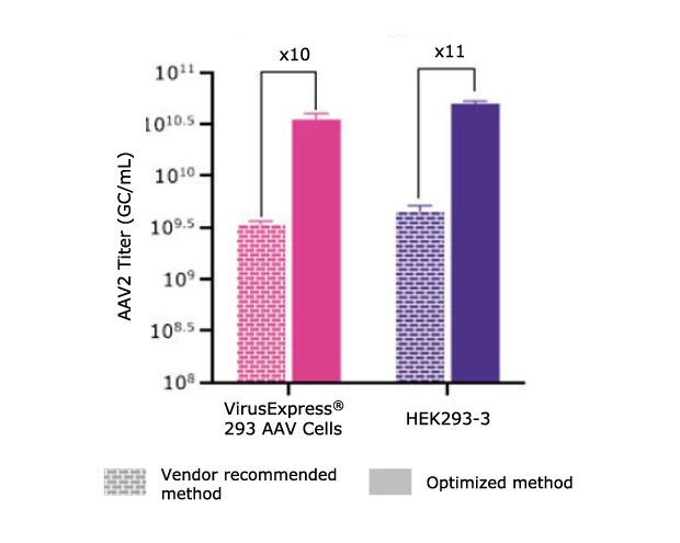 Greater than 10-fold increase in AAV2 titer achieved post-optimization with the VirusExpress® 293 AAV cell line. 