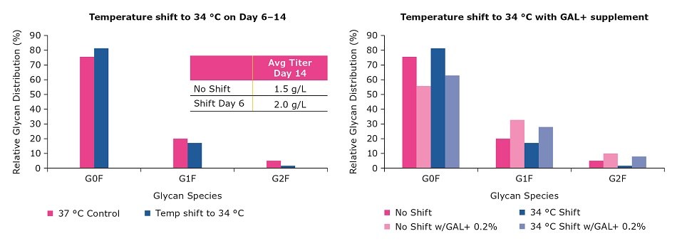 Effect of GAL+ supplementation and temperature shifts on glycan profile