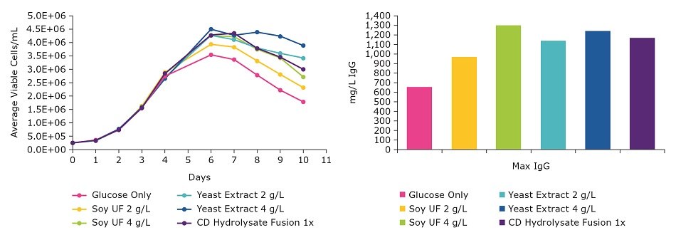 Viable cell density and titer of CHO cells using different hydrolysate supplement