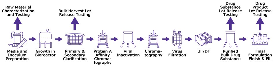 Schematic Process Flow showing Raw Material and Lot Release Testing in Typical Process Process flow with icons showing from left, media and inoculum prep, bioreactor, clarification, chromatography, viral inactivation and filtration, UF/DF, purified drug substance and final formulation and fill finish on right side. Characterization and testing is indicated above Media and Inoculum prep while Lot Release Testing is shown before Clarification and at Drug Substance and Drug Product.