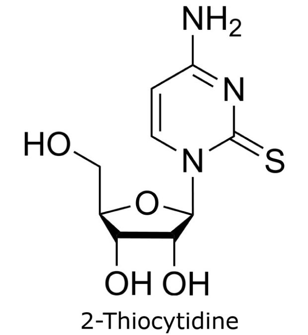 Chemical structure of 2-thiocytidine with a sulfur substitution at position 2 of the cytidine base linked to