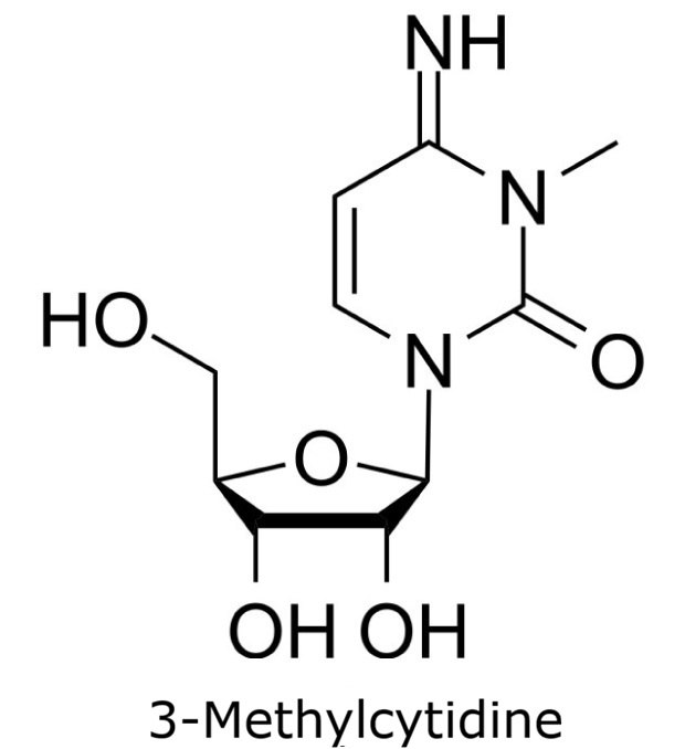 Chemical structure of 3-methylcytidine showing a methyl group at position 3 on the cytidine nucleobase with ribose attached.