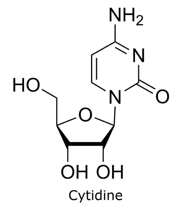 Chemical structure of cytidine showing the cytosine nucleobase attached to a ribose sugar.