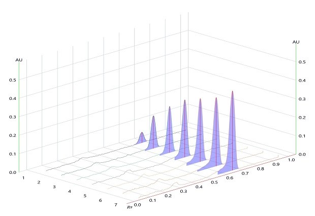 A 3-dimensional TLC-densitogram, obtained for the developed plate using a TLC analyzer and scanned at 254 nm. The x-axis on the flat rectangular surface shows the position of the tracks, ranging from 0 to 7, indicating where each compound starts on the plate. The y-axis displays the retention factor, ranging from 0.0 to 1.0 at intervals of 0.1. The z-axis represents the detector's response in absorbance units (AU), ranging from 0.0 to 0.5 at intervals of 0.1. Seven peaks rise from the flat rectangular surface, corresponding to the seven tracks spotted on the plate, labeled 1 to 7 from left to right. The peaks increase in height from track 1 to 7, indicating an increase in the concentration of betamethasone. All peaks are obtained at the same position just below the Rf value of 0.7.