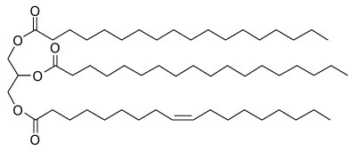Structure of a typical TAG with stearyl, stearyl, and oleyl (SSO) fatty acyl chains.