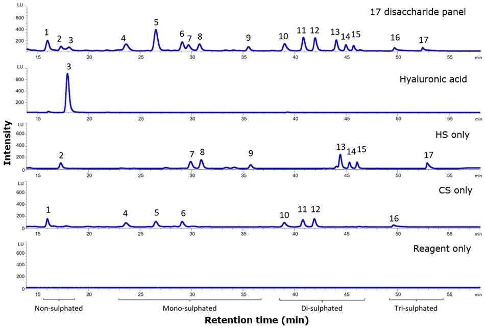 Chromatograms labeled “17 disaccharide panel”, “Hyaluronic acid”, “HS only”, “CS only”, and “Reagent only” showing intensity (LU) vs time (min) with peaks numbered 1–17; regions marked Non-sulphated, Mono-sulphated, Di-sulphated, and Tri-sulphated.