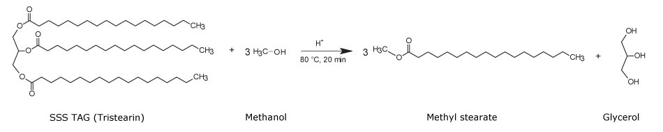 Chemical reaction showing acid-catalyzed methyl esterification of a tristearin triacylglycerol having stearyl (C18:0), stearyl (C18:0), and stearyl (C18:0) [SSS] fatty acyl chains with three moles of methanol in the presence pf H+ ions, 80 ˚C, and for 20 minutes to produce three moles of methyl stearate and glycerol.