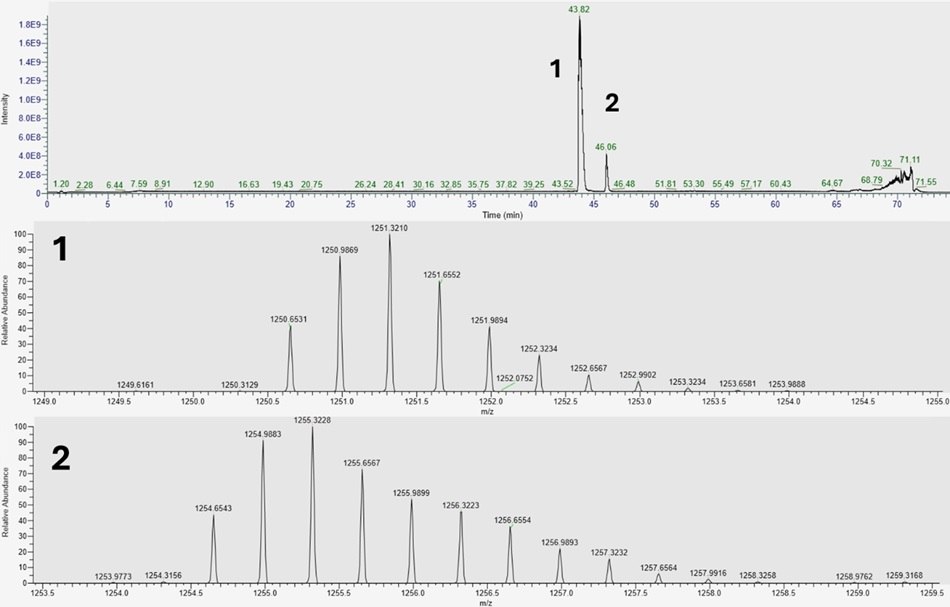 LC-MS chromatogram and mass spectra showing liraglutide peak with 3+ charge state and impurity exhibiting +12 Da mass shift.