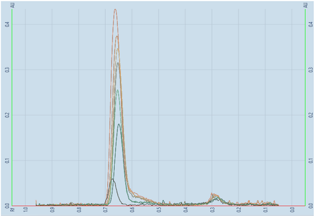 A TLC-densitogram, obtained for the developed plate using a TLC analyzer and scanned at 254 nm. The y-axis represents the detector response in absorbance units (AU) with major tick marks at 0.1, 0.2, 0.3, 0.4. The x-axis displays the retention factor, with major tick marks at intervals of 0.1, ranging from 0.0 to 1.0 (from right to left). It shows an overlay of peaks formed between Rf values of 0.7 and 0.6, of increasing heights obtained for the seven individual tracks.