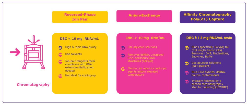 Comparison of reversed-phase ion-pair, anion exchange and affinity chromatography for mRNA purification (DBC: dynamic binding capacity).<sup>4,5</sup>