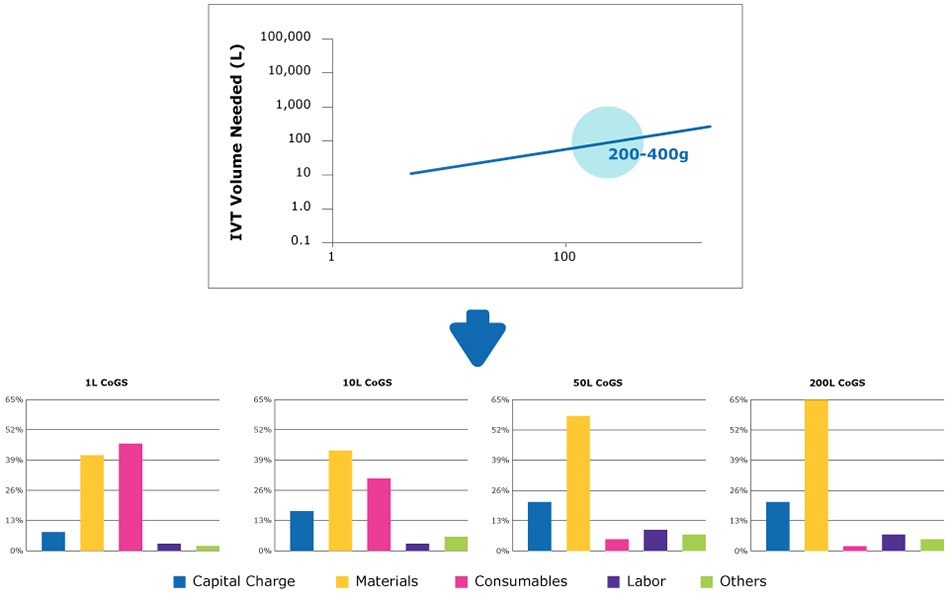 Strategies for meeting a medium forecasted annual mRNA demand.