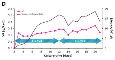 In dynamic perfusion, a high viable cell density (VCD) of 150 × 10^6 cells/mL at 1.5 VVD was achieved, and both volumetric (VP) and cell specific (qP) productivities were increased over time. In steady state perfusion, target VCD of 50 × 10^6 cells/mL was maintained at 1.5 and 1.0 VVD, and both VP and qP remained stable.