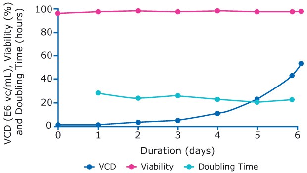 Cells grew exponentially up to 50 E6 vc/mL and maintained a high viability before being added to the production bioreactors.