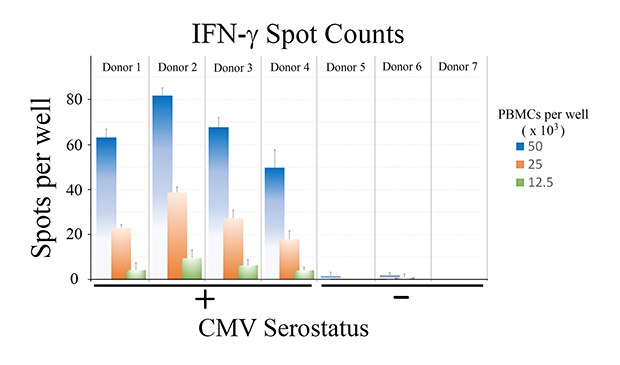 ELISpot assay using CMV-derived peptides to stimulate IFN-γ secretion.