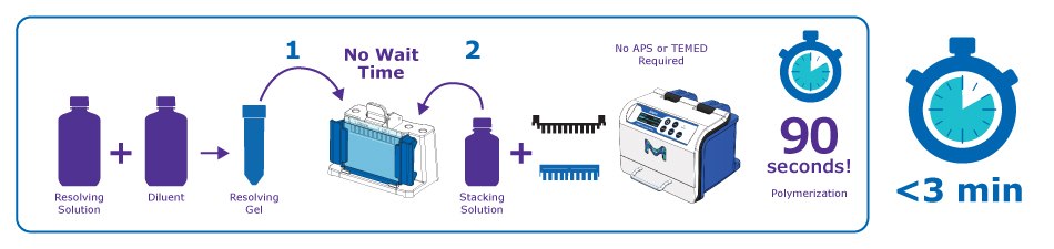 mPAGE® Lux 铸型系统的双鸢尾凝胶铸型工作流程，步骤更少，聚合时间不到 3 分钟。