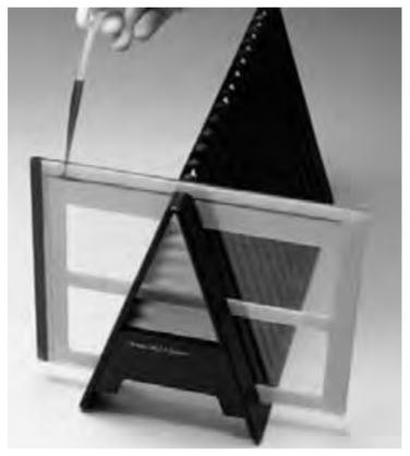 Applying Equilibrated Immobiline® DryStrip Gels to SDS Gels Sealing the Immobiline® DryStrip gel in place on a DALT precast gel using agarose sealing solution.