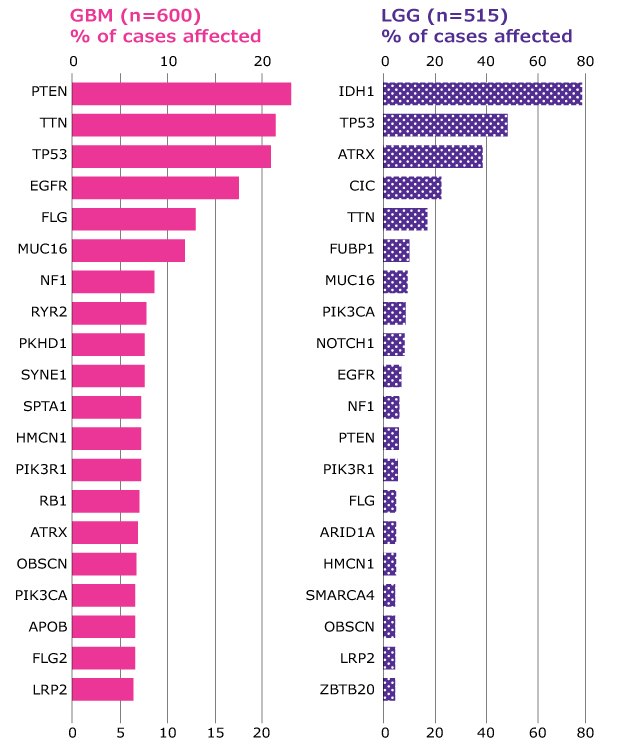 Graph showing the distribution of most frequently mutated genes in high-grade gliomas (GBM) and low-grade gliomas (LGG) expressed as % of total cases. Genes PTEN and LRP2 had the highest and lowest % of cases respectively for GBM while genes IDH1 and ZBTB20 had the highest and lowest % of cases respectively for LGG.