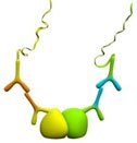 Detection of Protein-Protein Interactions