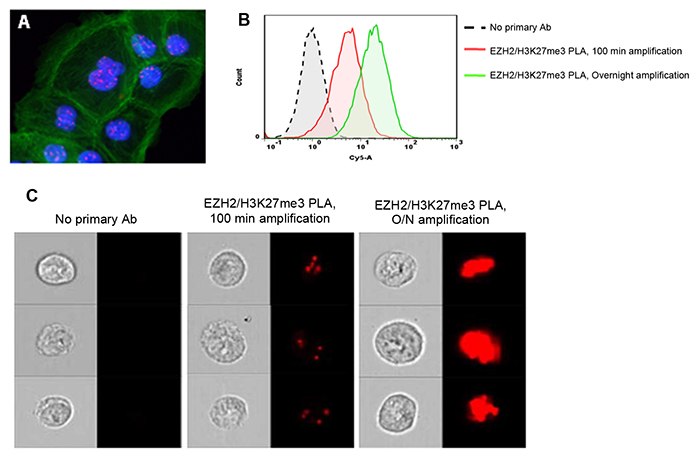 Flow Cytometry