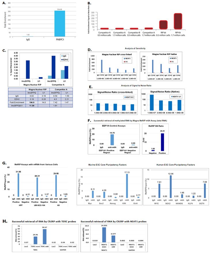 通过 qRT-PCR 进行 RIP RNAs 分析