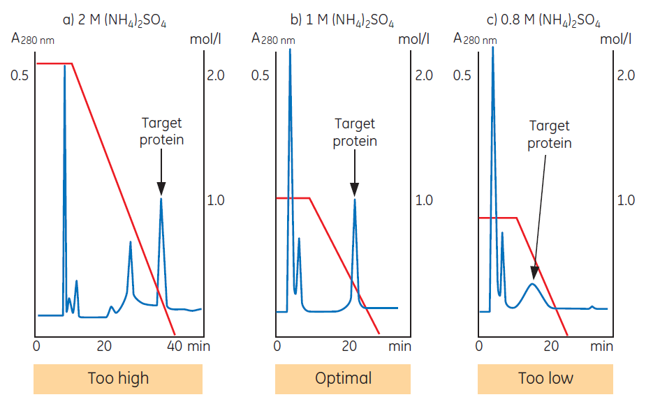 Salt concentration