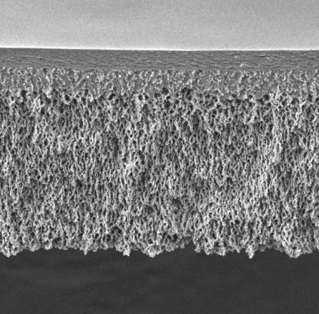 Cross-section of traditional microporous membrane with uniform pore structure from top to bottom