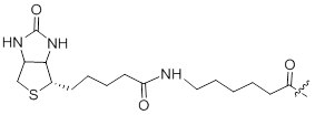 生物素