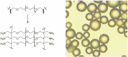 Aminomethyl-ChemMatrix树脂的支架完全由化学稳定的聚醚键构成（左）。ChemMatrix珠子的显微图像（右）。