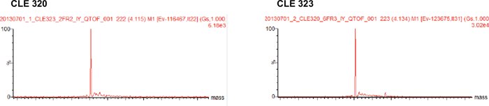 Deconvoluted MS spectra of Code H LC.