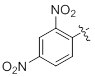 Dinitrophenyl