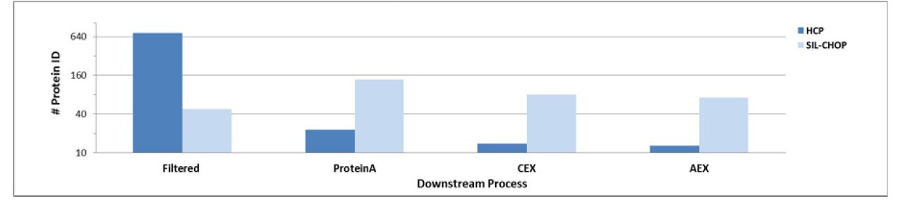 Protein IDs from four downstream purification samples for SIL-CHOP and unlabeled HCPs.