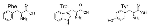 Dimethylated