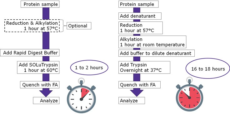 Development of a Simple and Rapid Digestion Protocol for Proteomics Sample Preparation