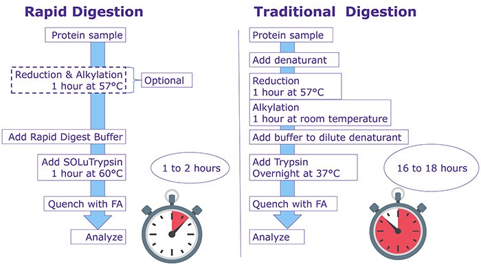 Workflow of Rapid Trypsin Digestion Workflow of Rapid Trypsin Digestion