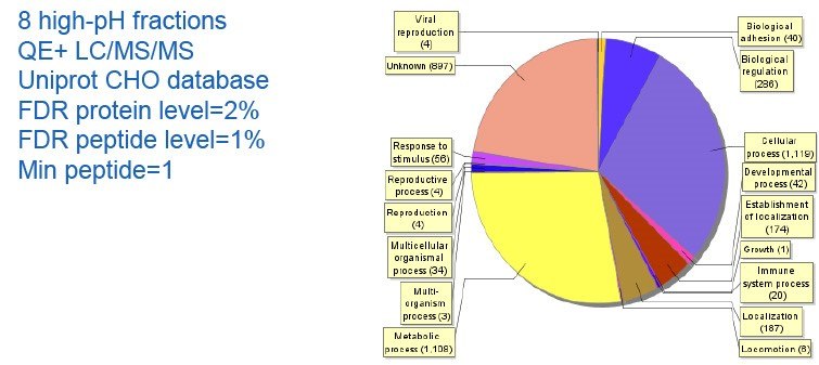 The Gene Ontology biological process terms of identified SIL-CHO proteins.