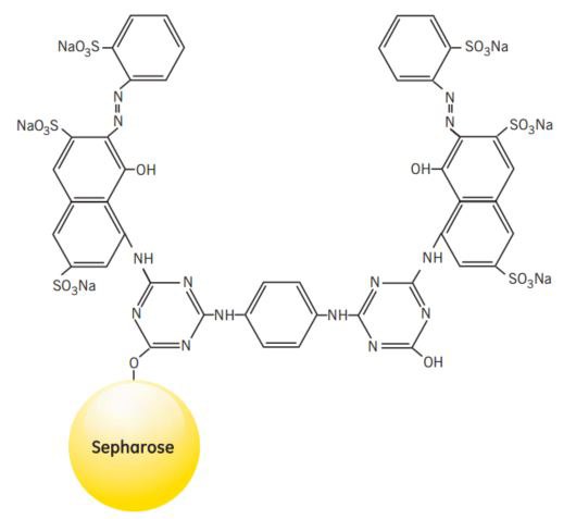 Partial structure of Red Sepharose® CL-6B