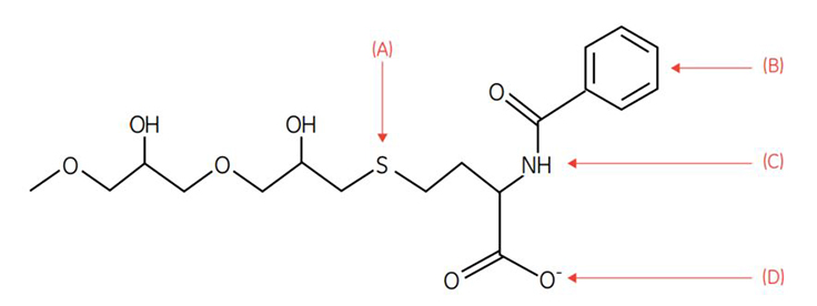 Capto MMC ligand. Interactions are shown by arrows