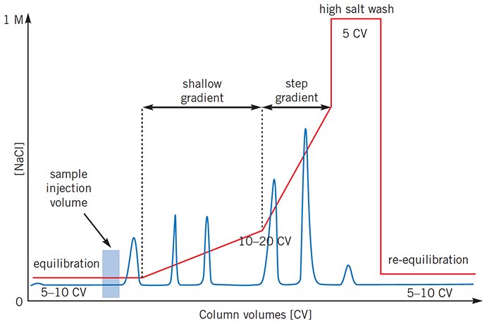 Complex gradient profiles can reduce total separation time for certain separations